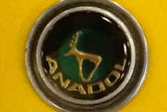 AnodolBadge.jpg (24253 bytes)